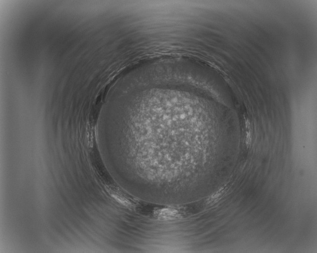 X0000052570180200507081711