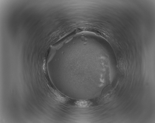 X0000052570181200507081711