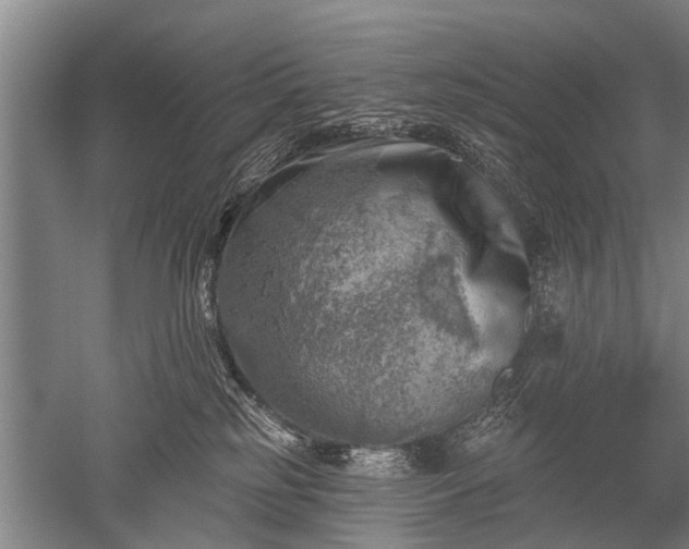 X0000052570185200507081711