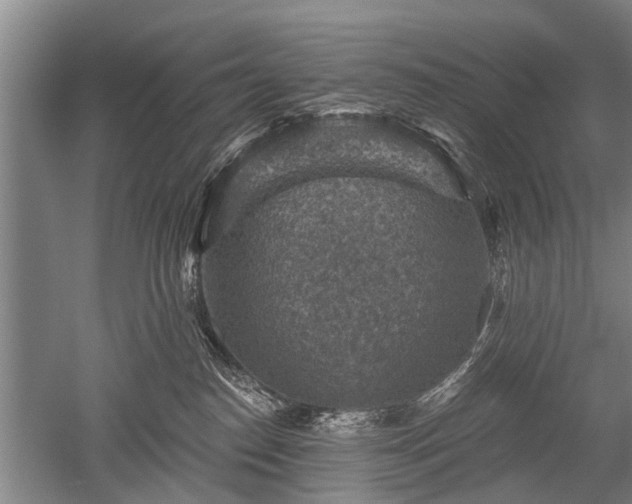 X0000052570186200507081711