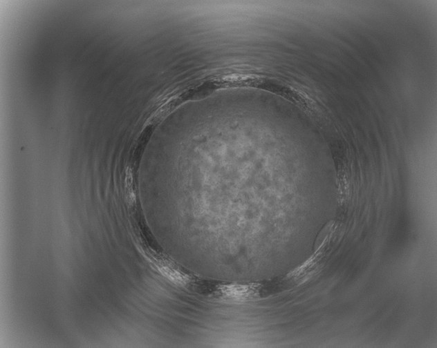 X0000052570187200507081711