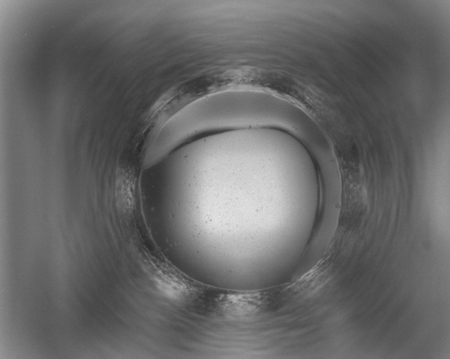 X0000052570188200507081711