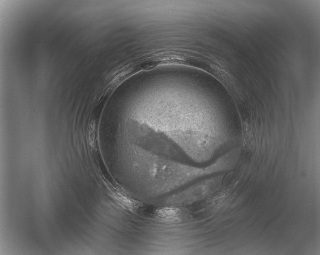 X0000052570189200507081711