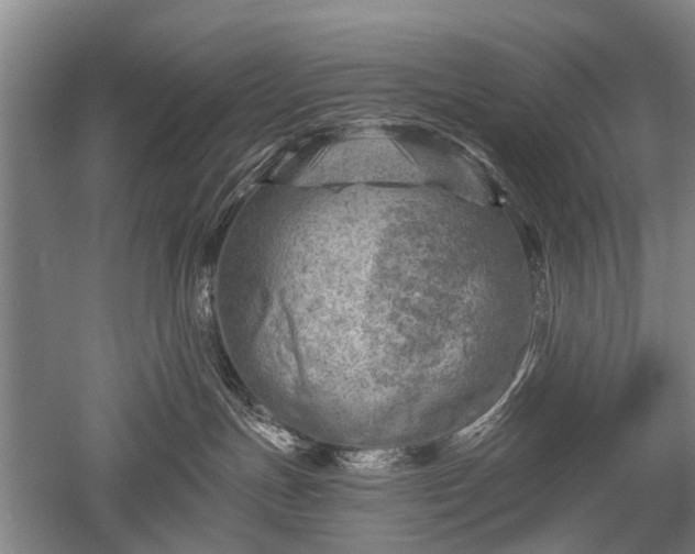 X0000052570191200507081711