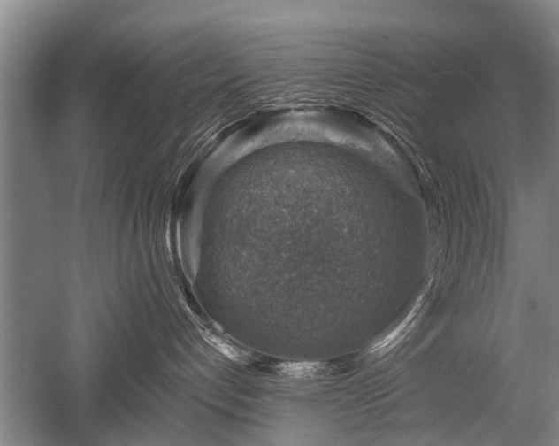 X0000052570192200507081711