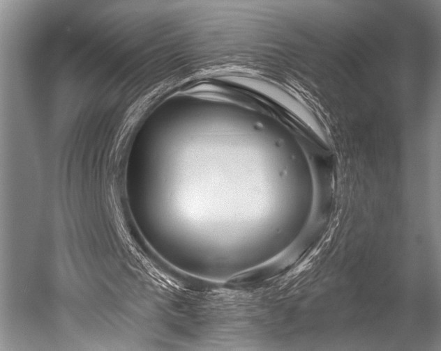 X0000052570193200507081710