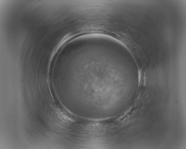 X0000052570195200507081710