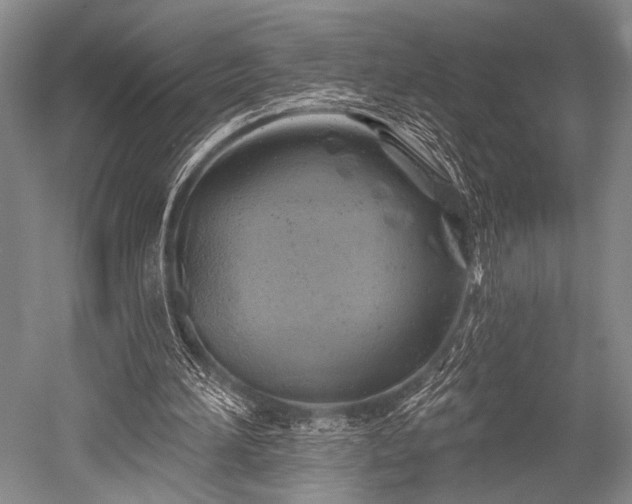 X0000052570196200507081710