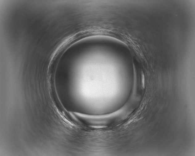 X0000052570197200507081710