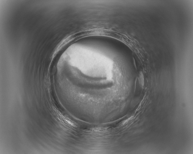 X0000052570198200507081710