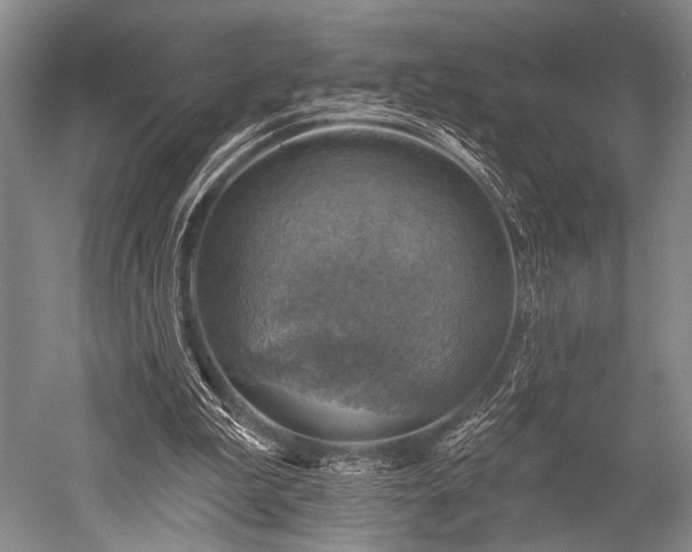 X0000052570199200507081710