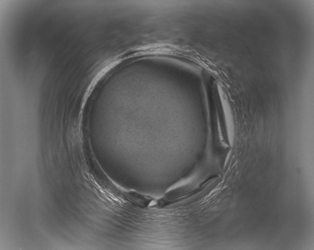 X0000052570200200507081710