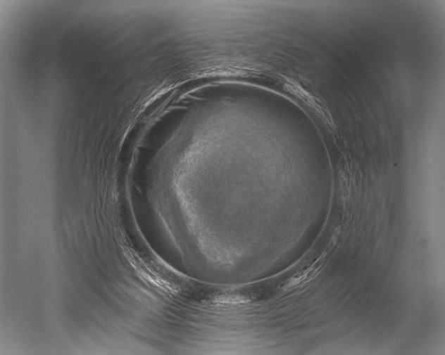 X0000052570203200507081710