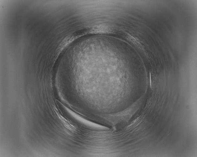 X0000052570204200507081710