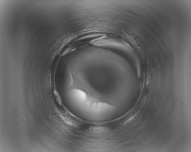 X0000052570205200507081710