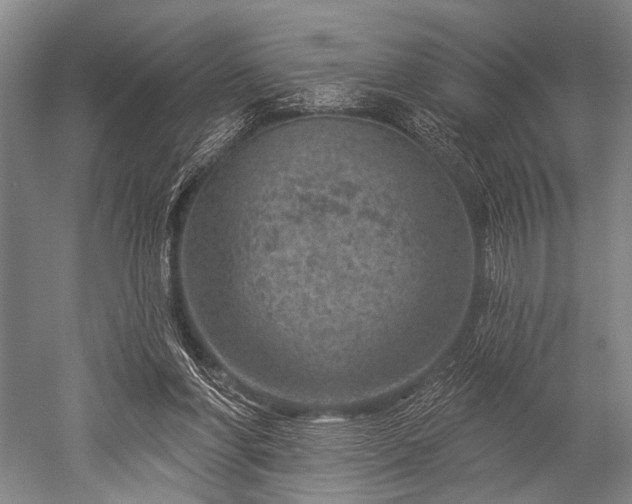 X0000052570206200507081710