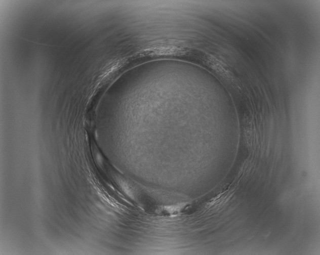 X0000052570207200507081710