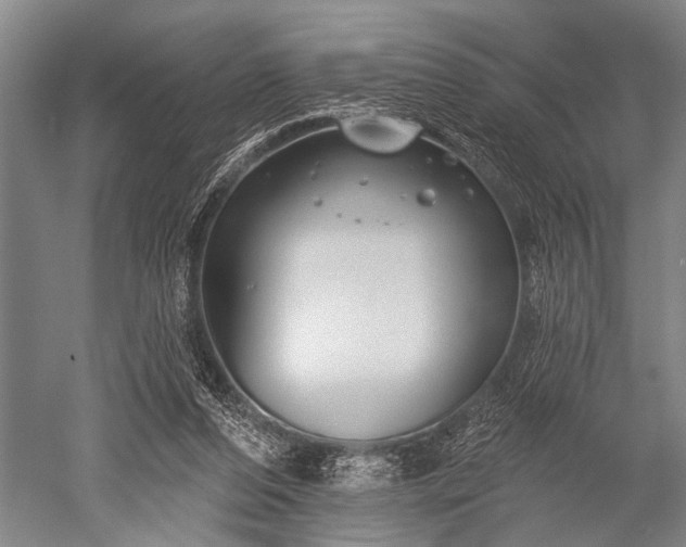 X0000052570208200507081710