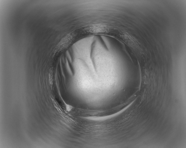 X0000052570210200507081710