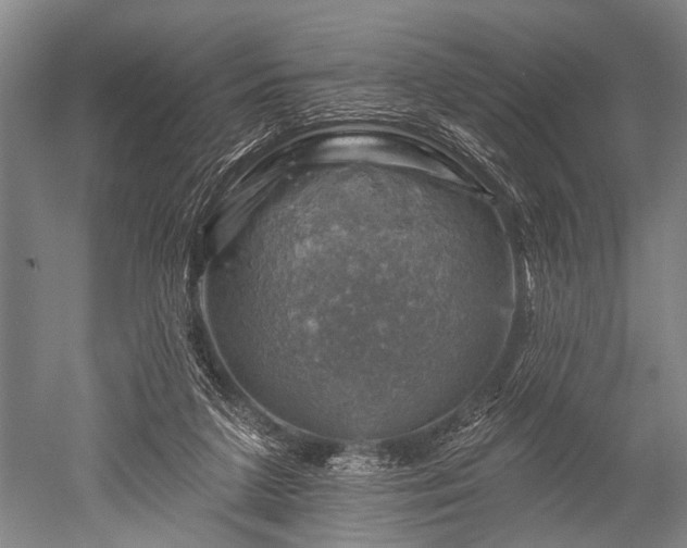 X0000052570211200507081710