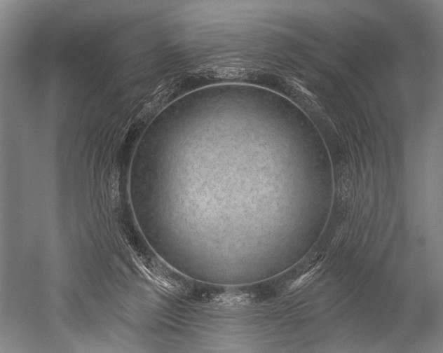 X0000052570213200507081710