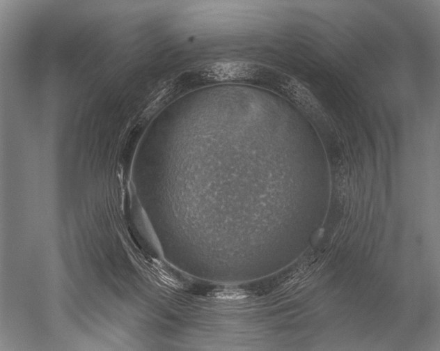 X0000052570214200507081710