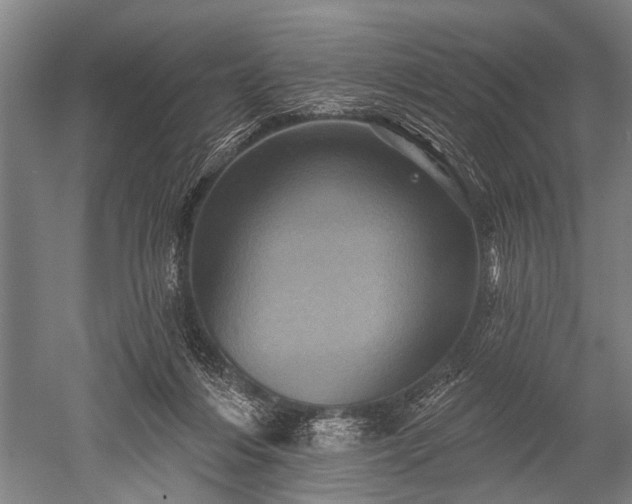 X0000052570216200507081710