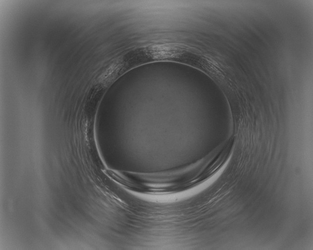 X0000052570219200507081710