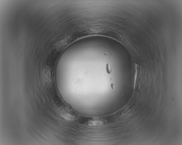 X0000052570220200507081710