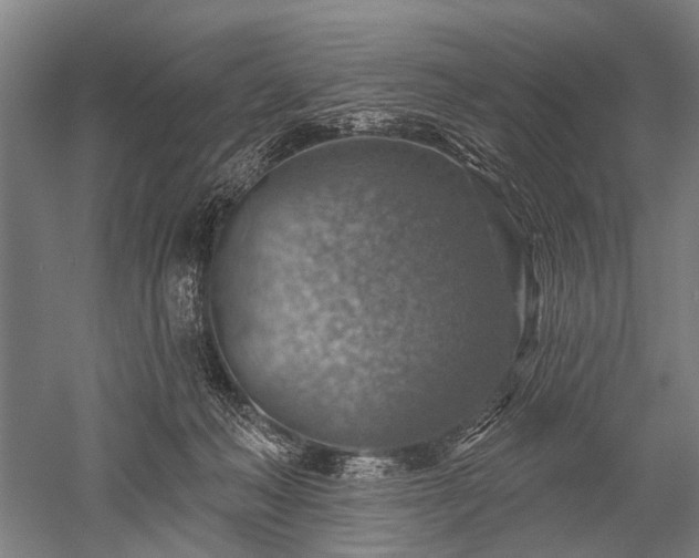 X0000052570222200507081710