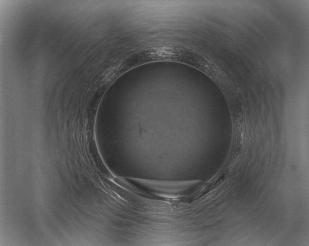 X0000052570223200507081710