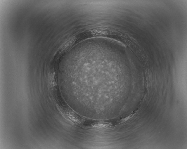 X0000052570224200507081710