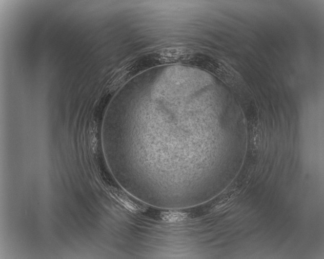 X0000052570226200507081710