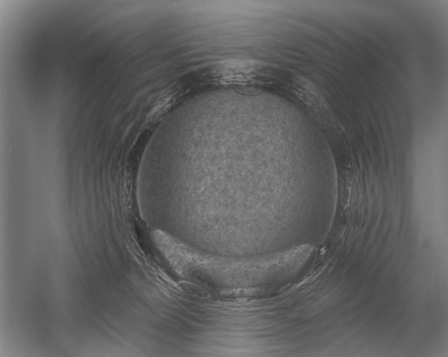 X0000052570228200507081710