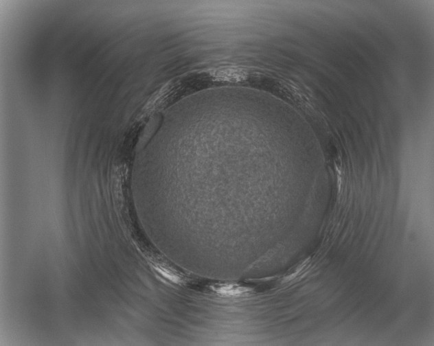 X0000052570229200507081710