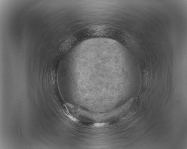 X0000052570230200507081710