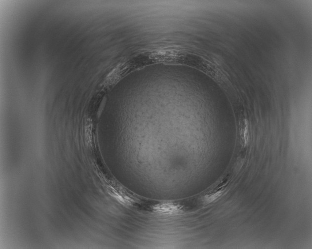 X0000052570231200507081710