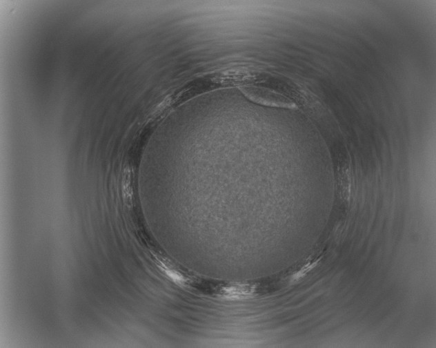 X0000052570232200507081710