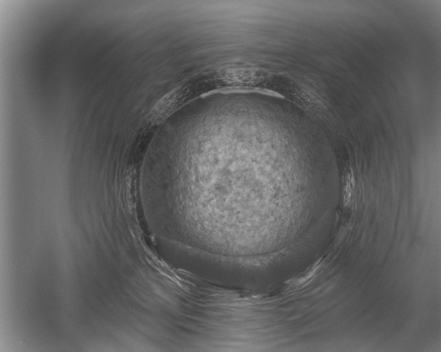 X0000052570233200507081710