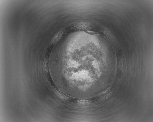 X0000052570234200507081710