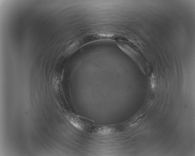 X0000052570235200507081710