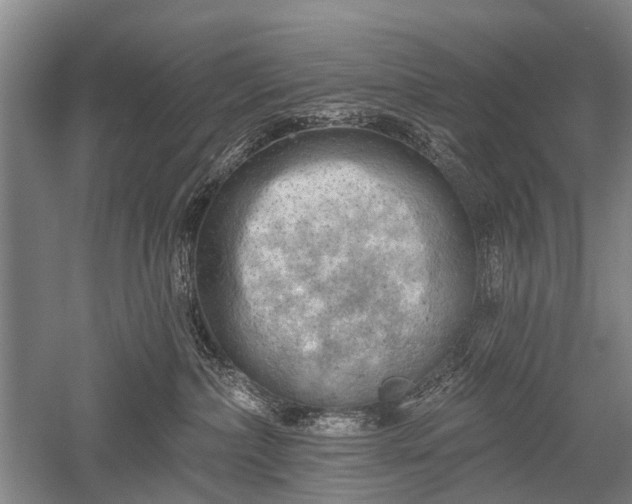 X0000052570236200507081710