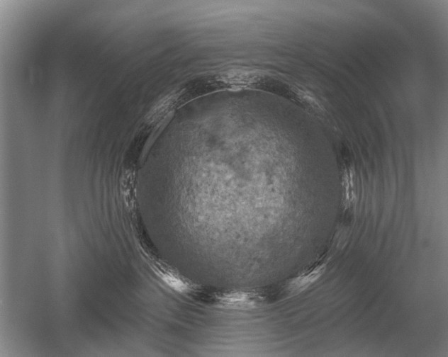 X0000052570237200507081710