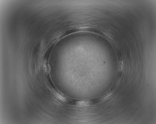 X0000052570238200507081710