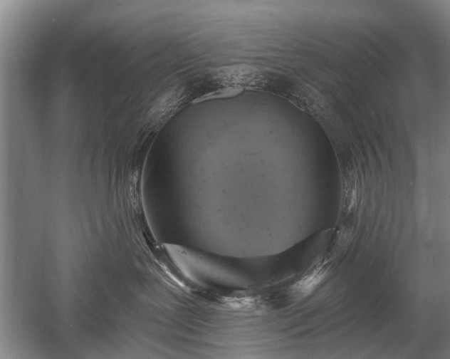 X0000052570239200507081710