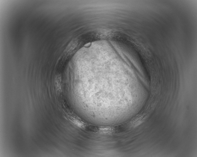 X0000052570240200507081710