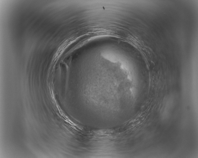 X0000052570241200507081709