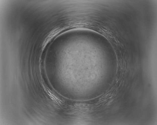 X0000052570242200507081709