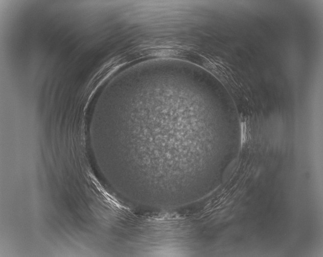 X0000052570243200507081709