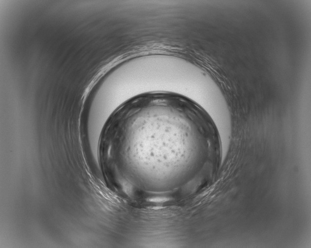 X0000052570244200507081709